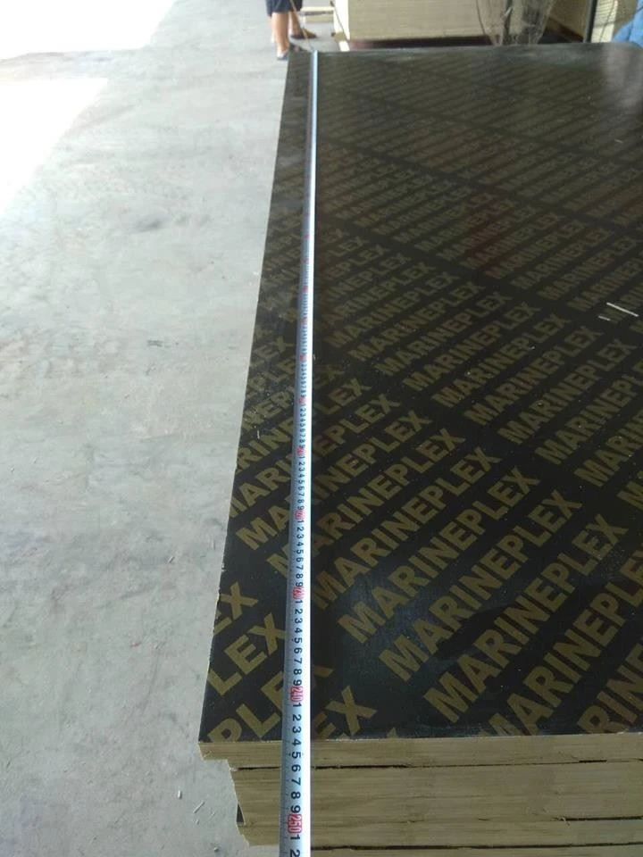 13Layers Poplar Core Film Faced Plywood