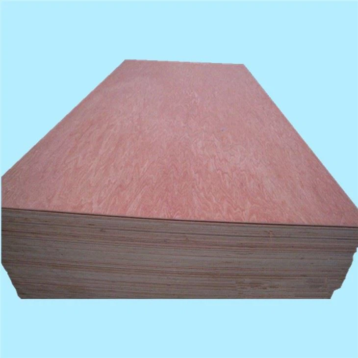 Bintangor BBCC Face Back XG Komèsyal Plywood