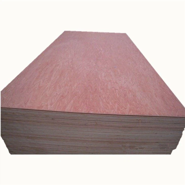 Bintangor BBCC Face Back XG Commercial Plywood