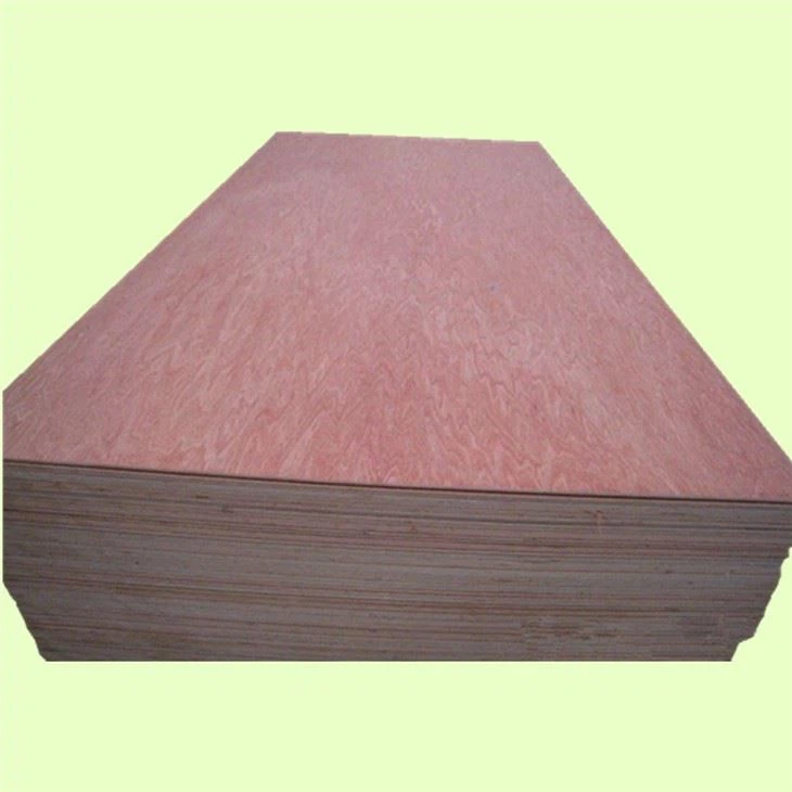 Bintangor BBCC Face Back XG Commercial Plywood
