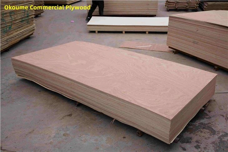 Bintangor / Komèsyal Plywood / XINGANG / CHINA