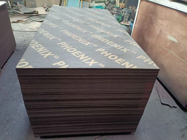 Black Film / Marina Board / XINGANG GROUP / LA CHINA