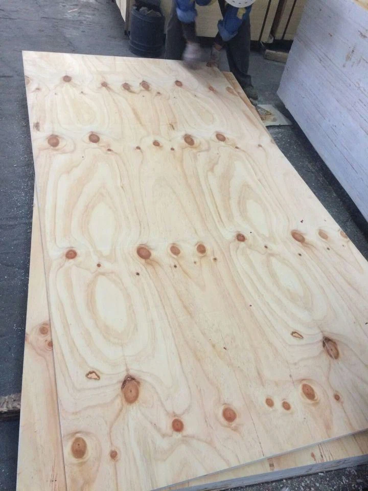CDX Pine Plywood,structure Pine Plywood, Radiate Pine Plywood,construction Grade Pine Plywood