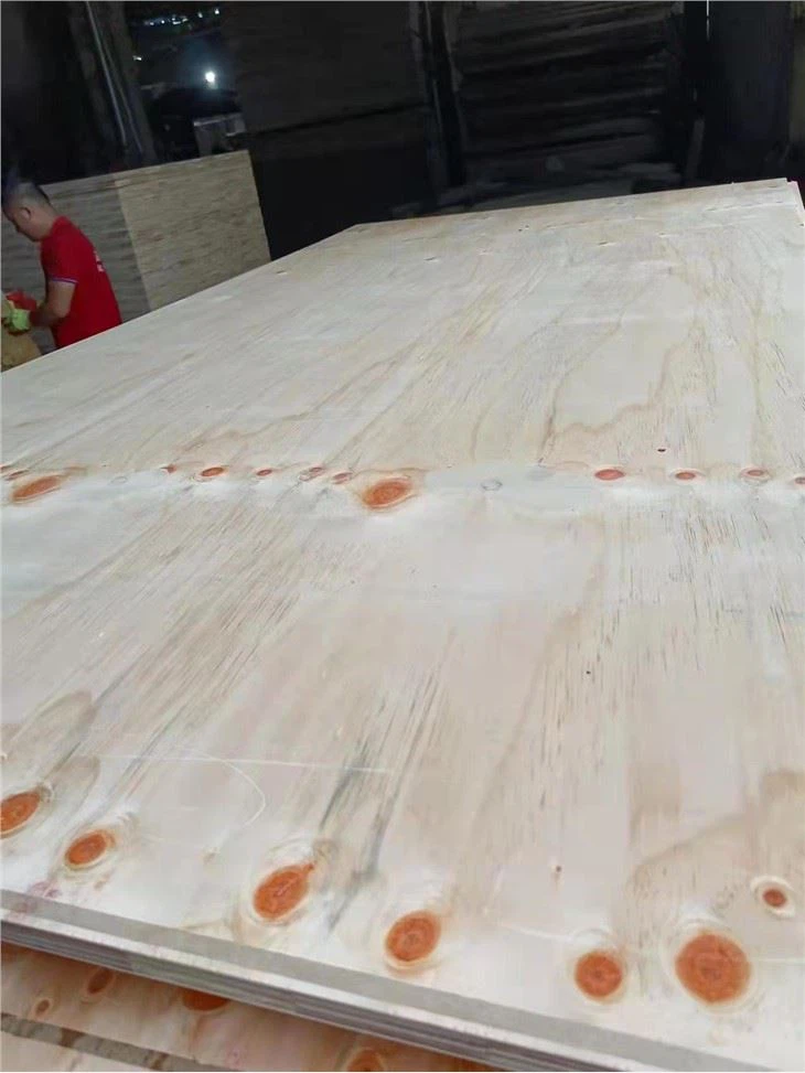 CDX Plywood faktori Pri Estrikti Pi bon kalite