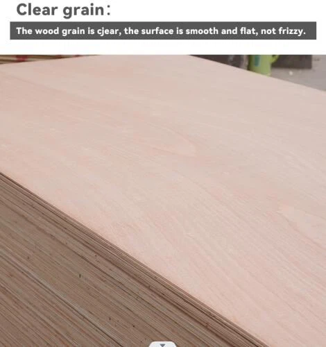 Mèb BBBB Klas Okoume Placage Plywood