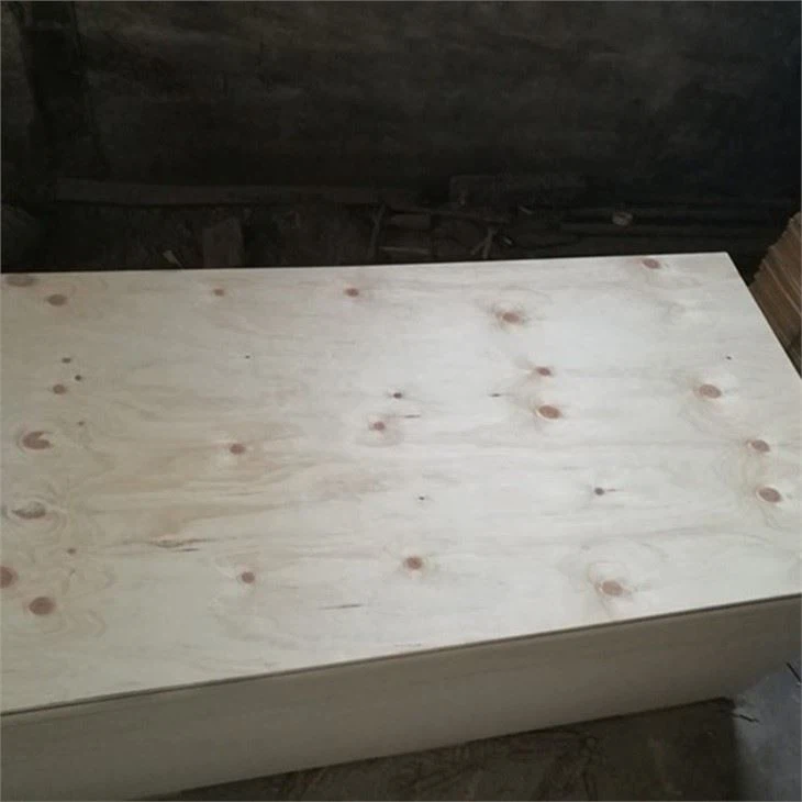Vann cho Komèsyal Plywood Mèb Plywood anbalaj Plywood fas tounen pou Bintangor Okoume