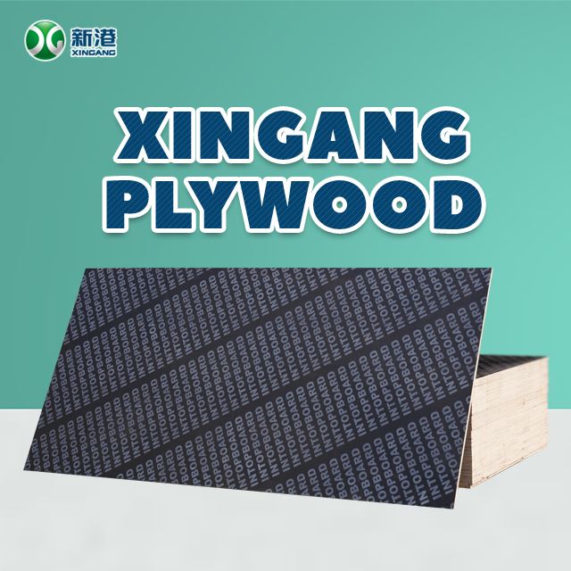 Marin Board / Film Faced Plywood