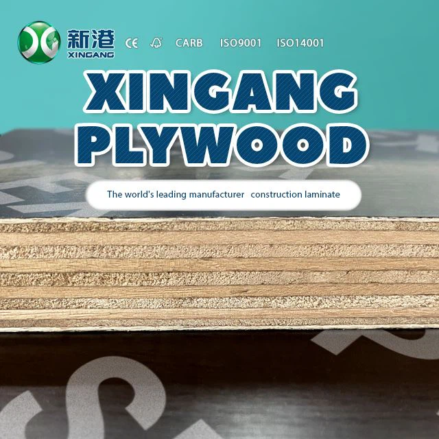 Marine Plywood Flm Faced Plywood 12mm 15mm 18mm Supplier Xingang