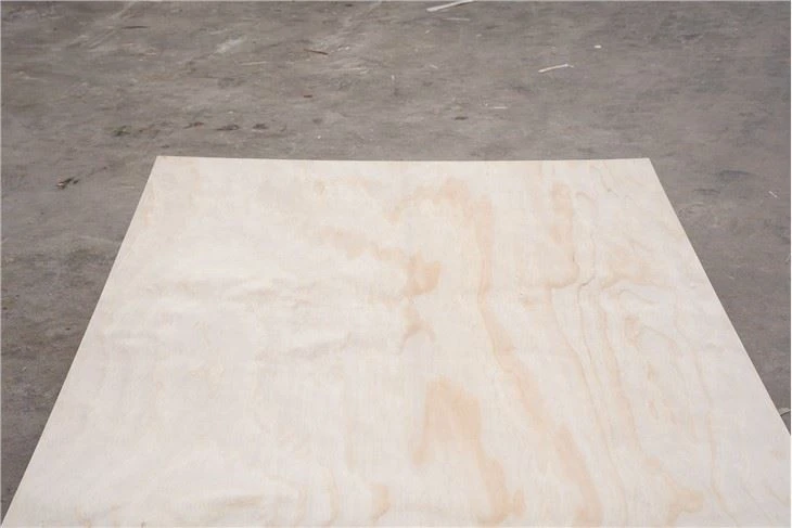 Poplar Commercial Plywood