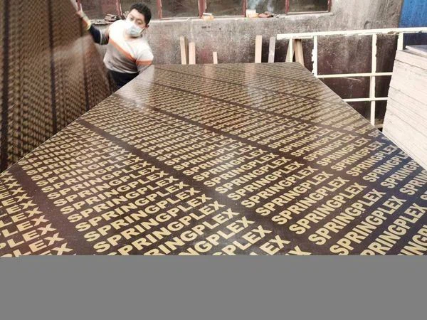 Recycled Material Affordable And Cheap Film Faced Plywood/ Marine Boards 18mm