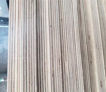 Recycled Material Affordable And Cheap Film Faced Plywood/ Marine Boards 18mm