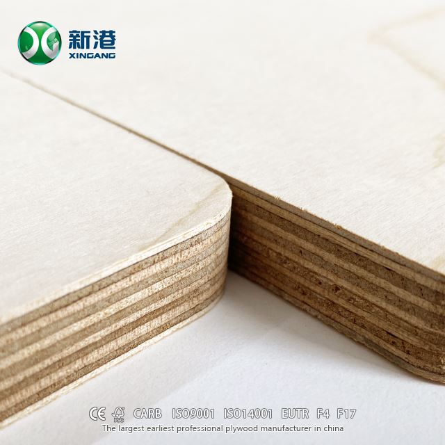High Quality Plywood Birch Face/back