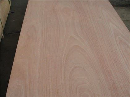4'x8'x18mm Okoume BB/CC Plywood