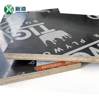 8-10 Times Marine Plywood Supplier- Lachin