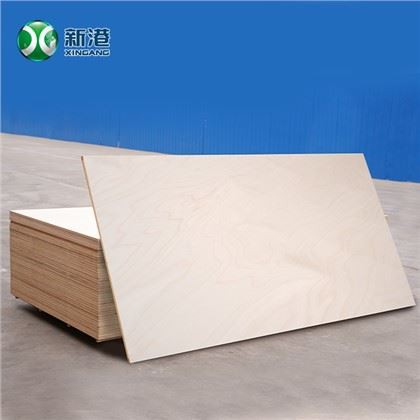 Plywood Panelen Floor