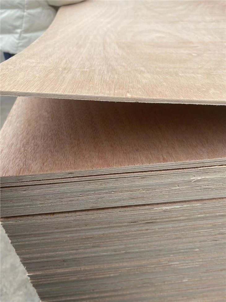 XINGANG COMMERCIAL PLYWOOD POPLAR CORE FUNITURE GRADE