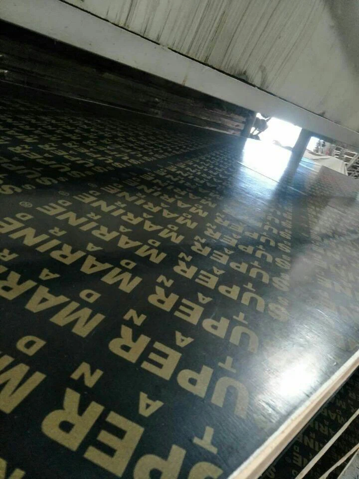17mm Finger Joint Nwayo Marin Plywood