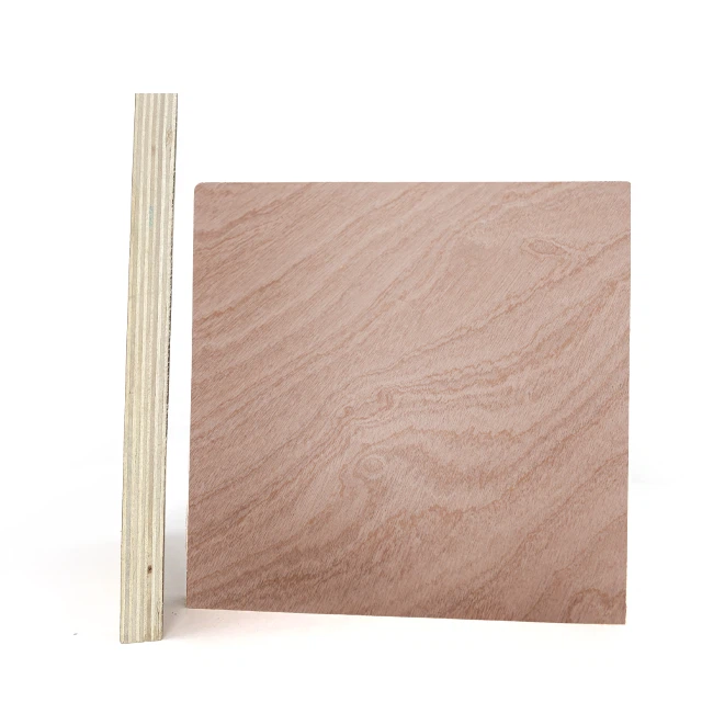 Sapeli Plywood