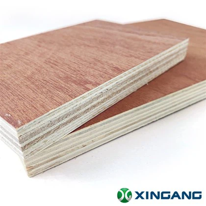 Sapele  Plywood