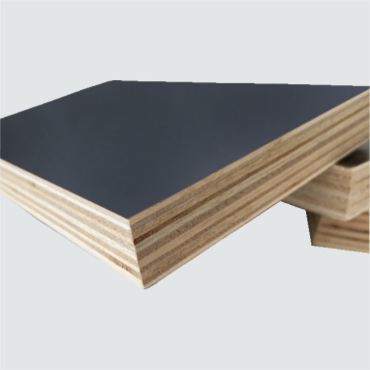 Various Types Construction Plywood Film Faced Shuttering Board