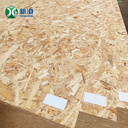 Chip Board20250716 best