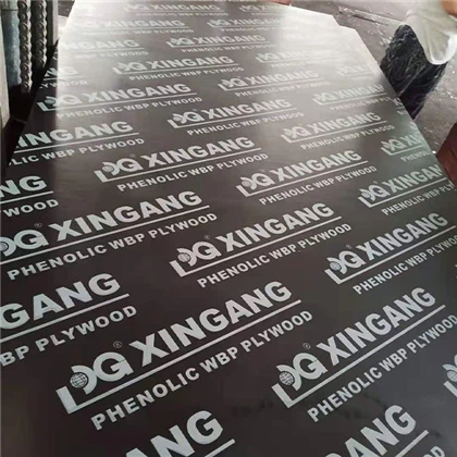 Film Faced Plywood20241129